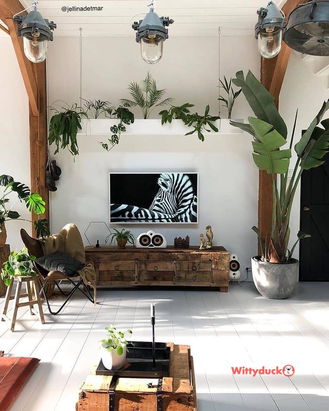 hanging plants ideas, ideas to decorate a living room