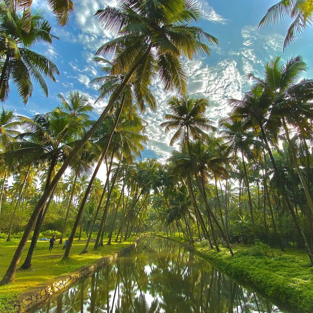 Best Honeymoon Destination - Kerala
