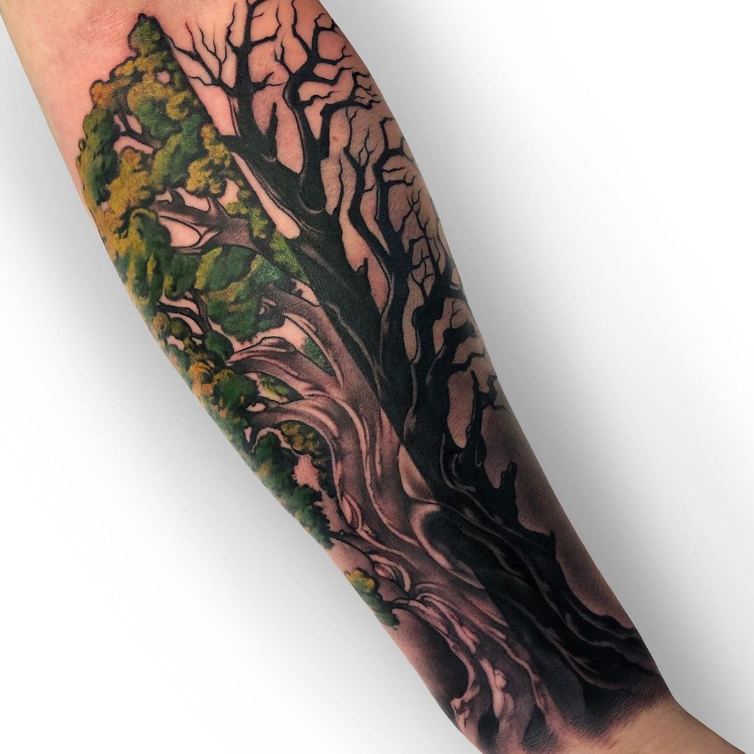 Tattoo Ideas - Tree Tattoo