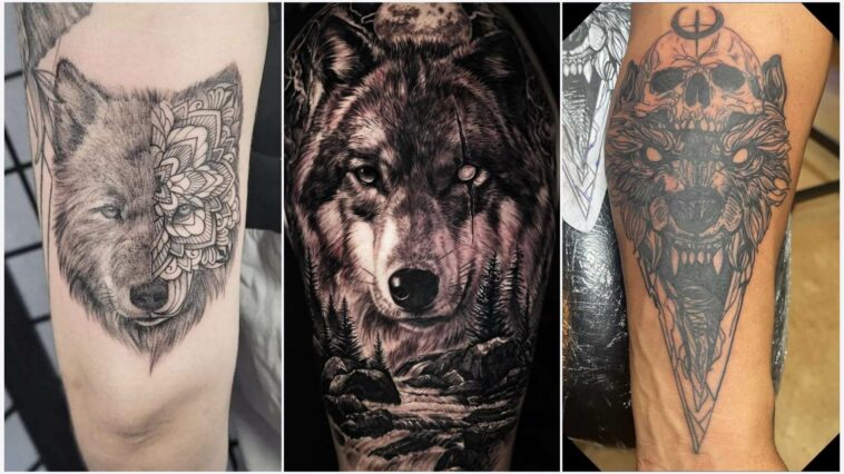 Wolf Tattoo Designs for Men 2023 100 Unique Styles  DMARGE