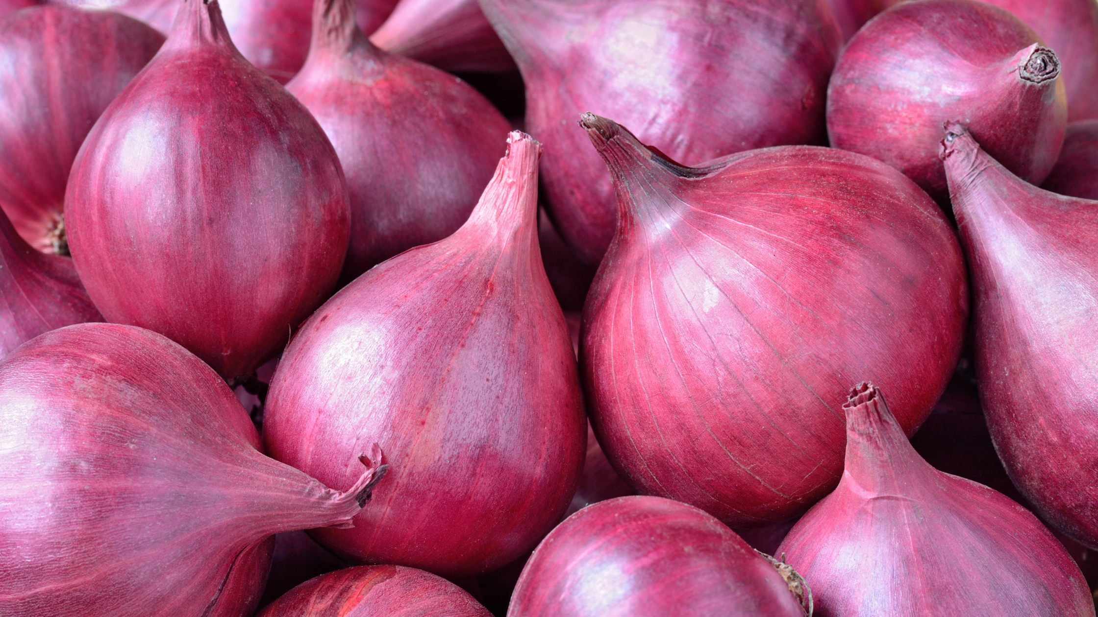 Types Of Onions
