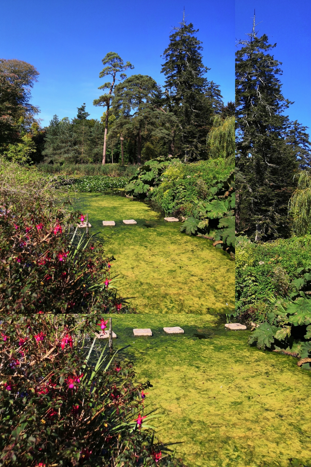 15+ Inspiring Garden Ideas to Transform Your Outdoor Space