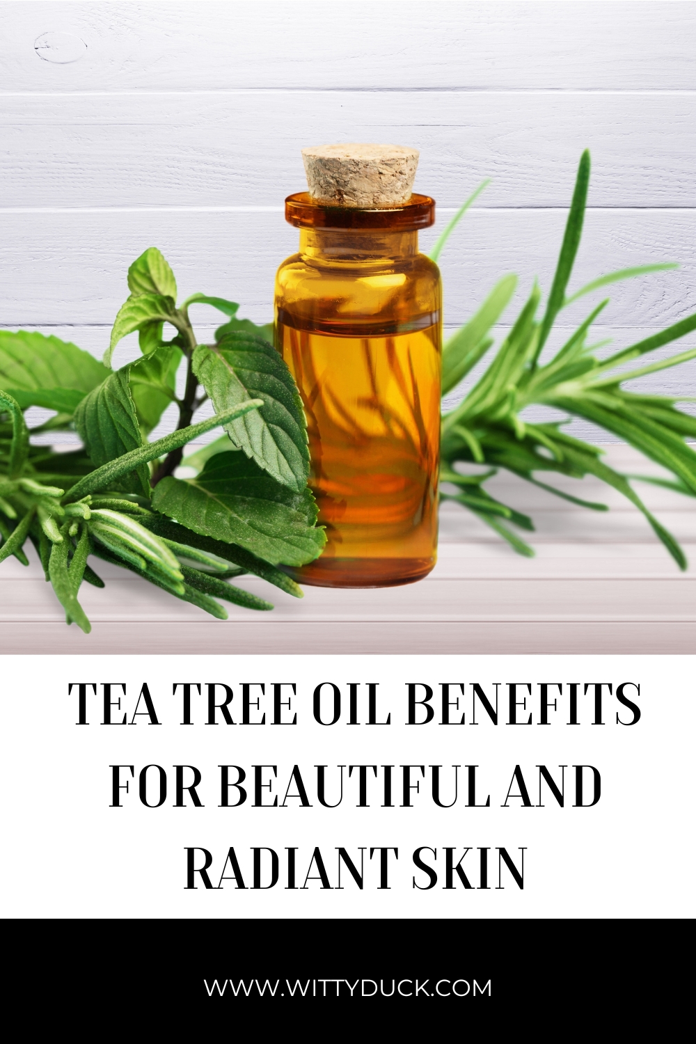 Tea Tree Oil Benefits For Beautiful and Radiant Skin